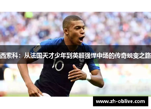 西索科：从法国天才少年到英超强悍中场的传奇蜕变之路
