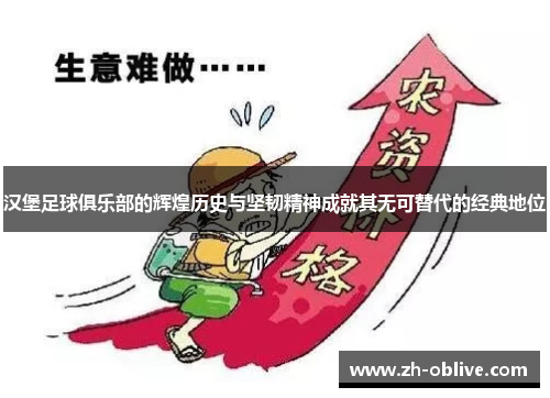 汉堡足球俱乐部的辉煌历史与坚韧精神成就其无可替代的经典地位