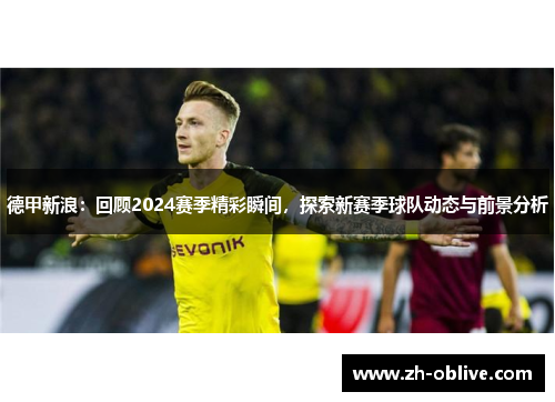 德甲新浪：回顾2024赛季精彩瞬间，探索新赛季球队动态与前景分析