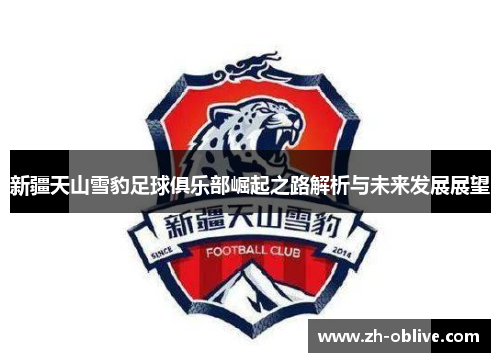 新疆天山雪豹足球俱乐部崛起之路解析与未来发展展望