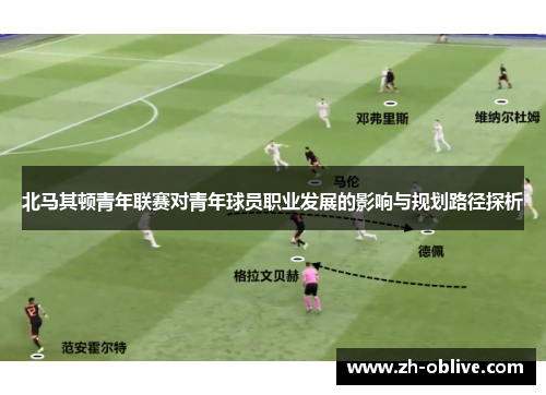 北马其顿青年联赛对青年球员职业发展的影响与规划路径探析