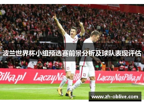波兰世界杯小组预选赛前景分析及球队表现评估