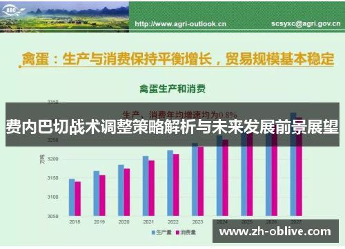 费内巴切战术调整策略解析与未来发展前景展望
