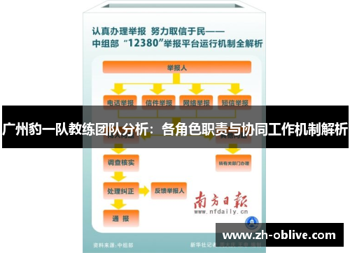 广州豹一队教练团队分析：各角色职责与协同工作机制解析
