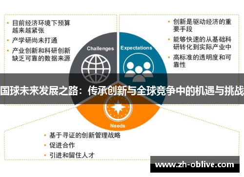 国球未来发展之路：传承创新与全球竞争中的机遇与挑战