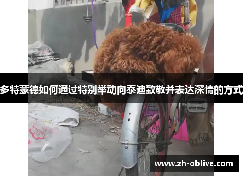 多特蒙德如何通过特别举动向泰迪致敬并表达深情的方式