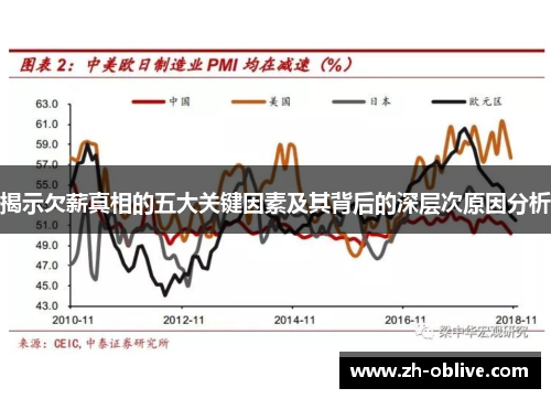 揭示欠薪真相的五大关键因素及其背后的深层次原因分析