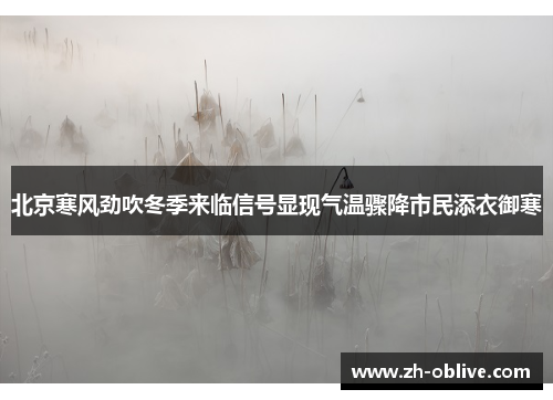 北京寒风劲吹冬季来临信号显现气温骤降市民添衣御寒