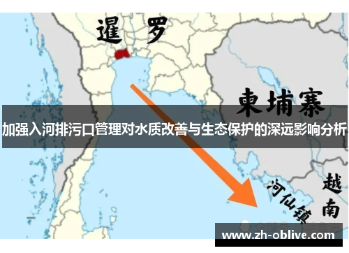 加强入河排污口管理对水质改善与生态保护的深远影响分析