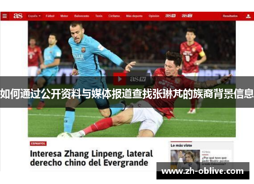 如何通过公开资料与媒体报道查找张琳芃的族裔背景信息