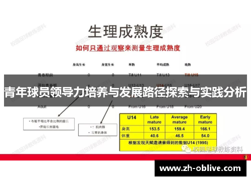 青年球员领导力培养与发展路径探索与实践分析