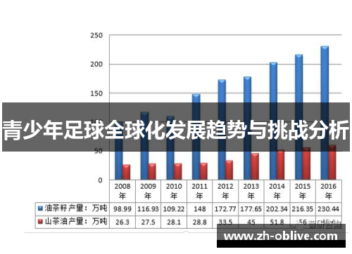 青少年足球全球化发展趋势与挑战分析